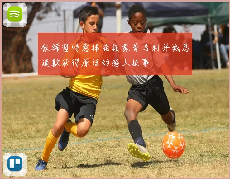 张稀哲特意捧花接蒙哥马利并诚恳道歉获得原谅的感人故事