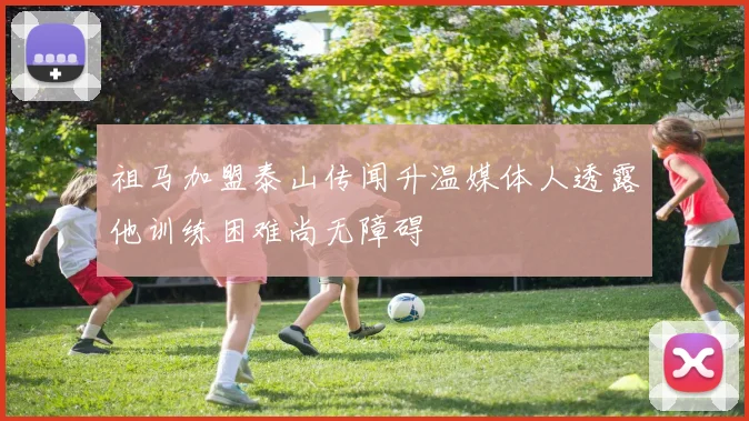 祖马加盟泰山传闻升温媒体人透露他训练困难尚无障碍