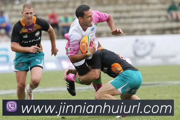 数据防护可视化